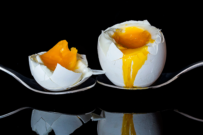 Egg 2161877 1280