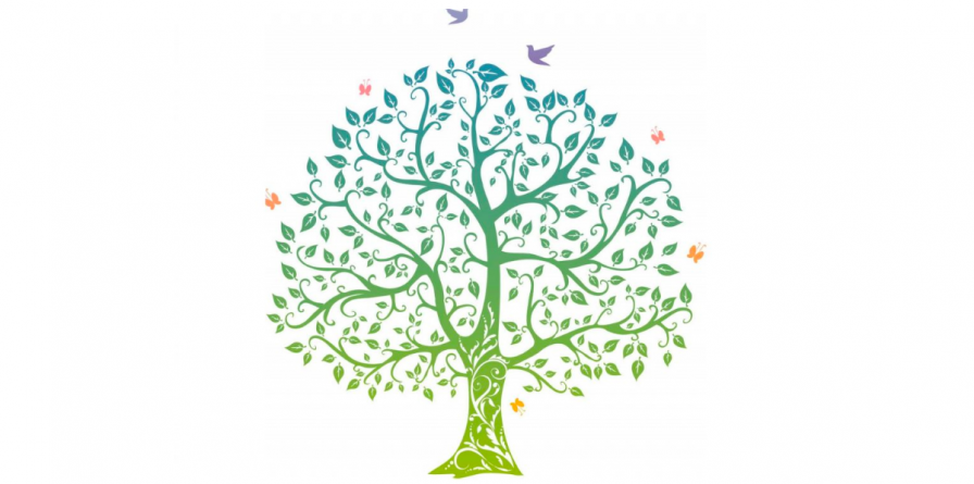 El Arbol De La Vida Y Su Significado