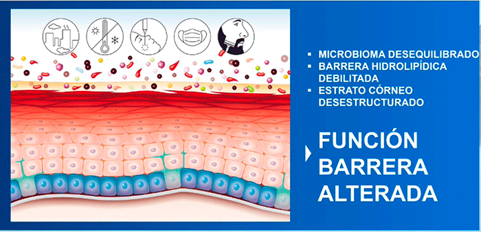 Microbioma Desequilibrado