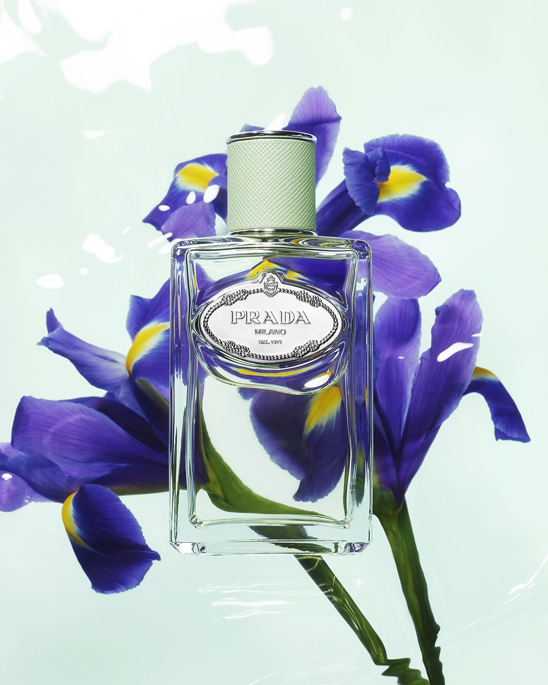 173295249 2922998224692534 5911369383143675268 N