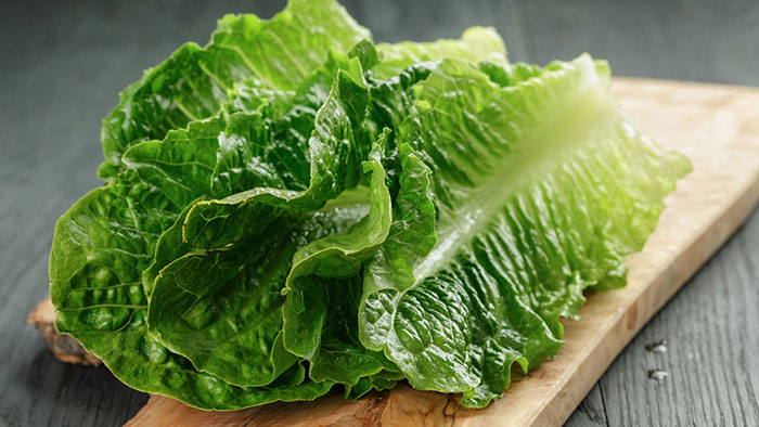 te-de-lechuga-2