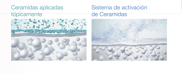 Ceramide Activition System