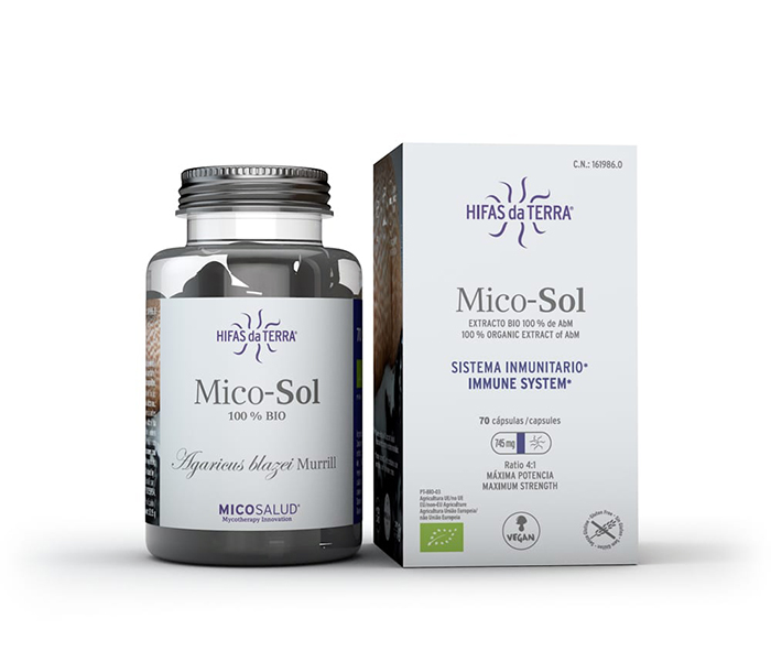 Mico Sol Hifas Da Terra