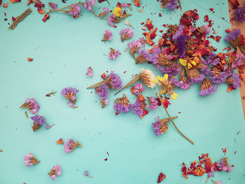 Eternal Blossom Serum The Emotional Labs