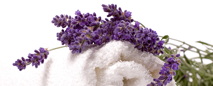 Lavanda Baño
