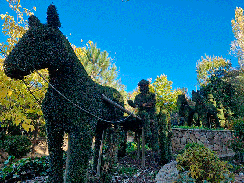 El Bosque Encantado Madrid