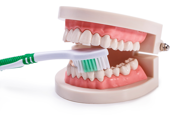 Dientes Blancos