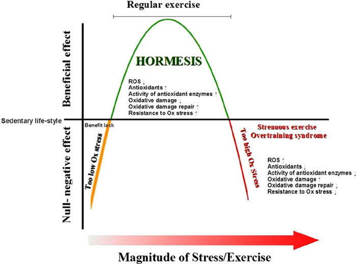 Gráfico sobre la hormesis hormesis-2