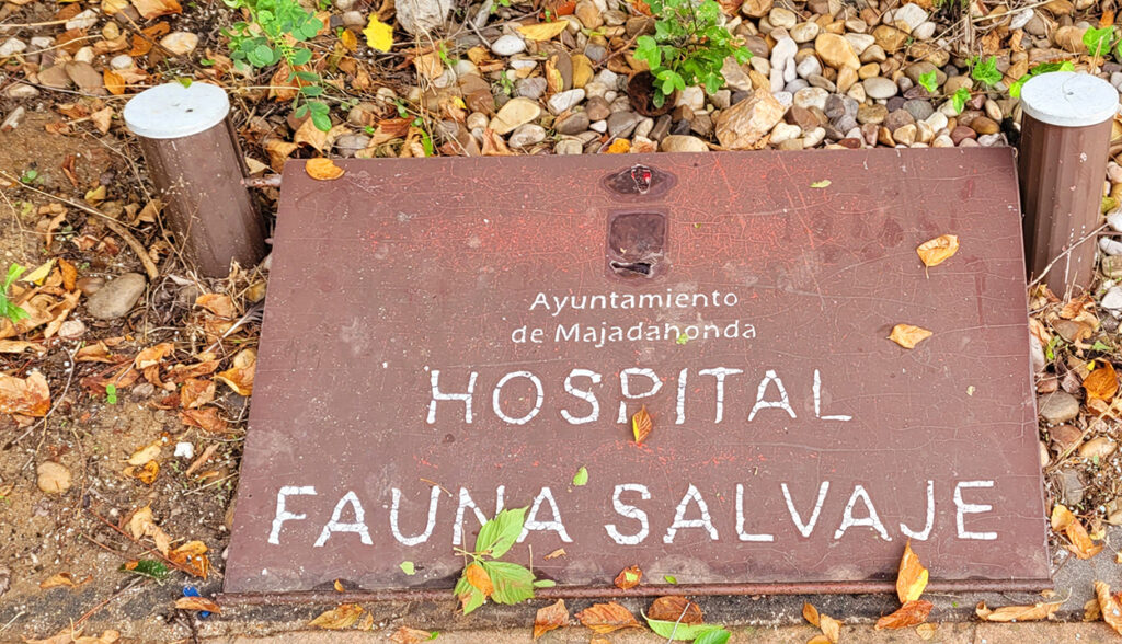 Hospital De Animales Salvajes Grefa Majadahonda Madrid