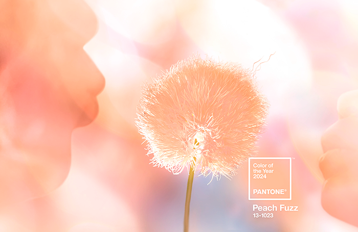 Peach Fuzz Pantone 2024