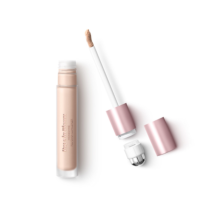 DAYS IN BLOOM HIDE AND SHINE ALL OVER CONCEALER Corrector Para Todo