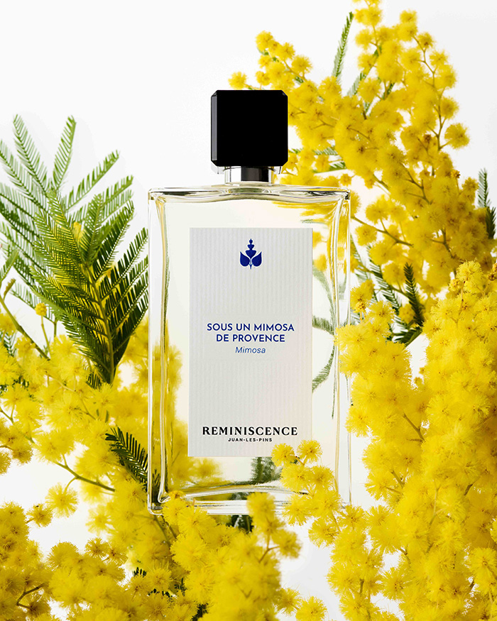 1 MIMOSA PARFUM + INGREDIENT