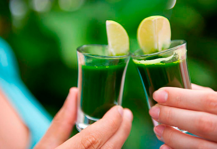 Wheatgrass