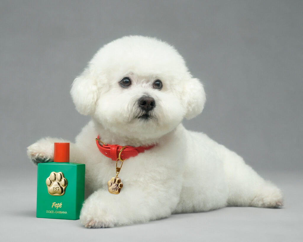 DG FF EC DOG 8 FEFE 100ML 8054754404296 JPG 5 4 300DPI CMYK