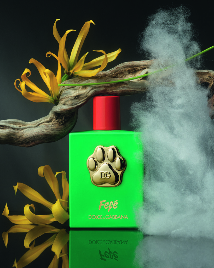 Dolce Gabbana Fefé