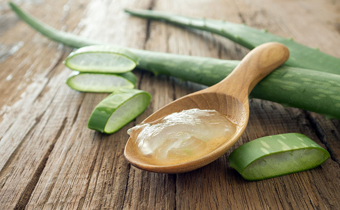 Aloe Vera.Atlantia.1