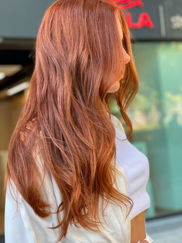 Primera Canas Tinte Vegetal Gabriel Llano