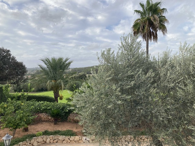 Mallorca Es Figueral Nou jardín