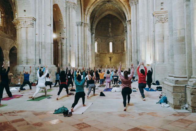 The Yoga Gallery Lleids Fest 2