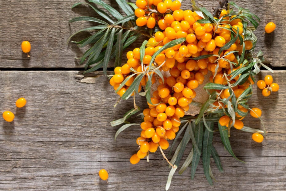 Espino Amarillo suplementos con Omega 3, 6 y 7