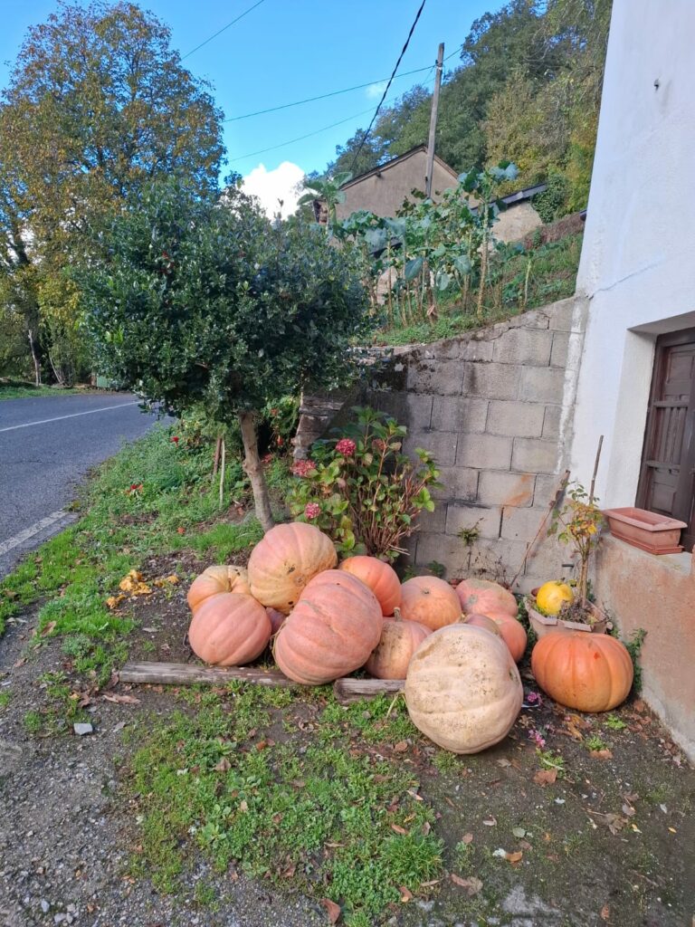 POESIA, DUELO , MUERTOS, HALLOWEEN