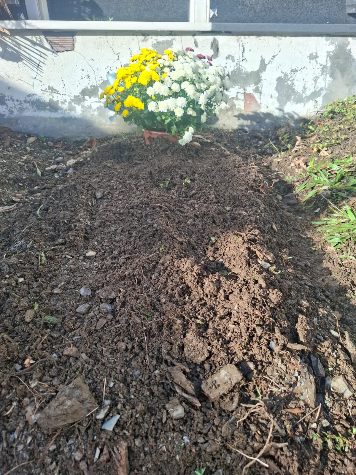 DUELO Y POESIA DE MUERTOS