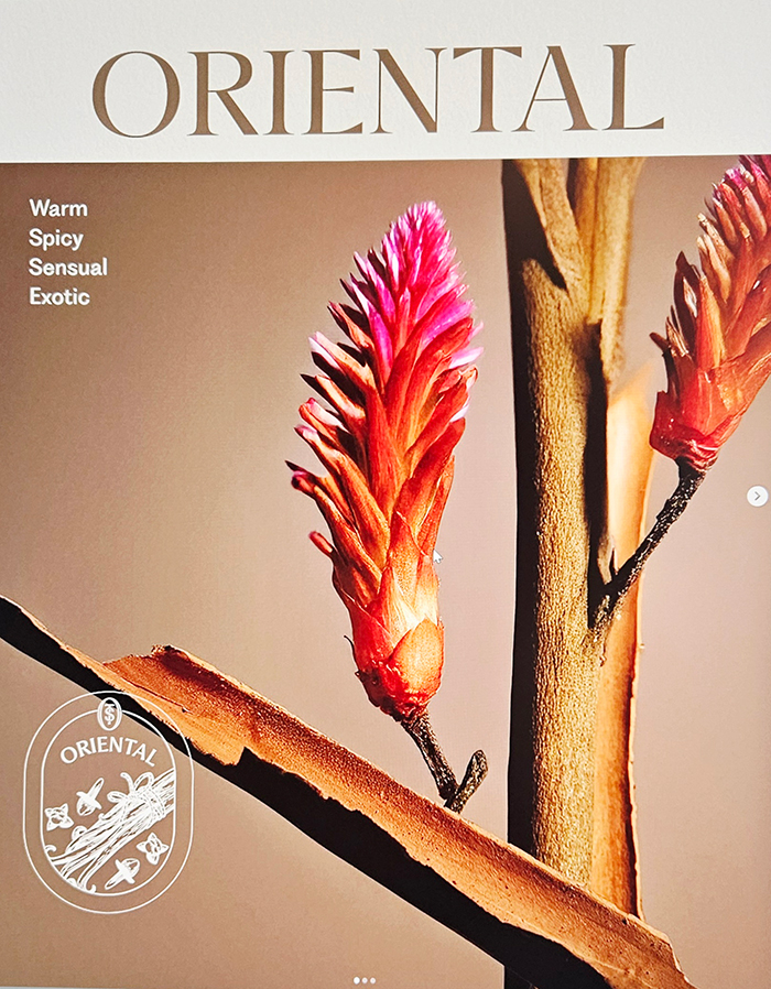 Perfumes Regalo The Scentuary