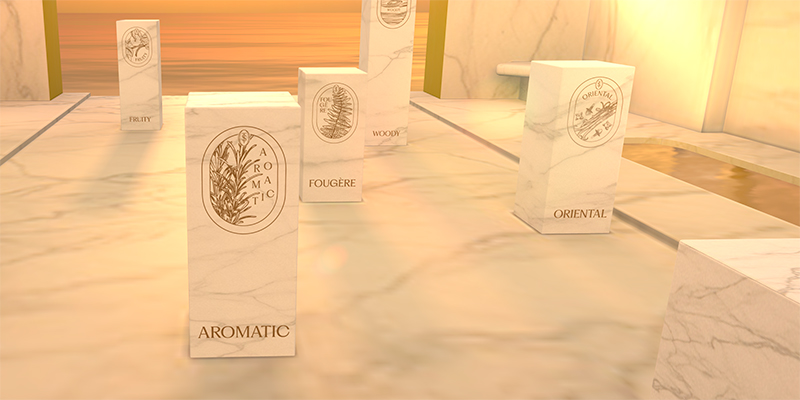 Test De Perfumes Por Familia