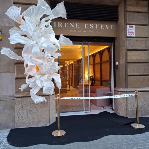 Irene Esteve- Estetica dental