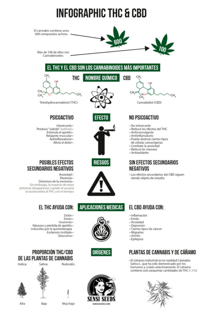 DIFERENCIAS ENTRE THC Y CBD
